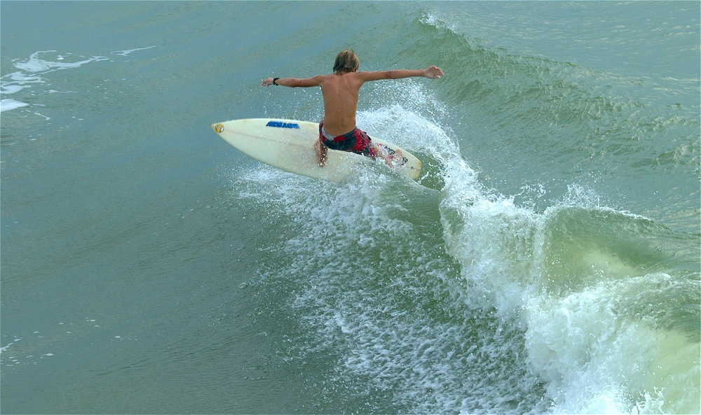 (35) Dscf3875 (bushfish - morning surf 1).jpg   (1000x593)   270 Kb                                    Click to display next picture